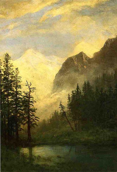 Albert Bierstadt Moonlit Landscape china oil painting image